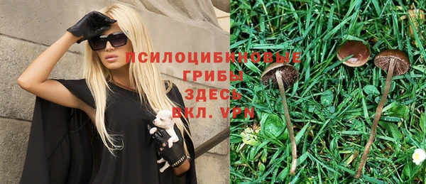 spice Медногорск