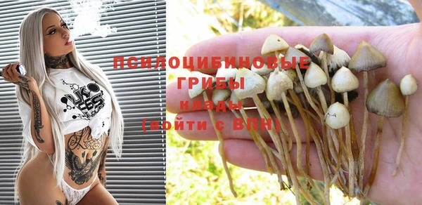 ALPHA PVP Медвежьегорск