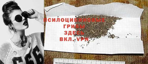 spice Медногорск