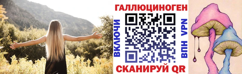 Купить  Сорочинск  Псилоцибиновые грибы мицелий 